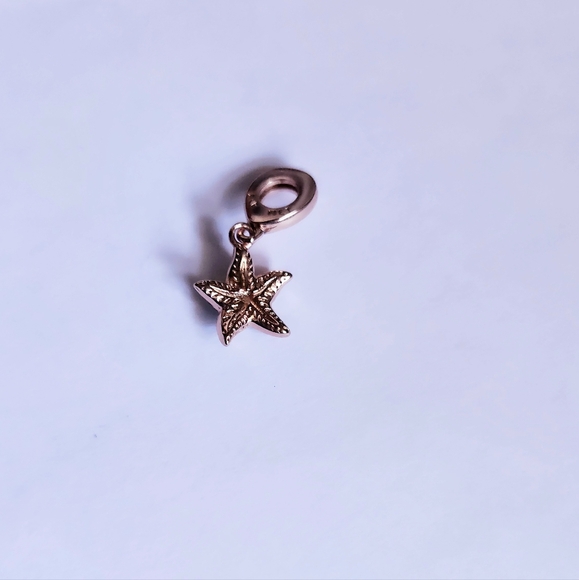 STARFISH CHARM - Picture 6 of 6